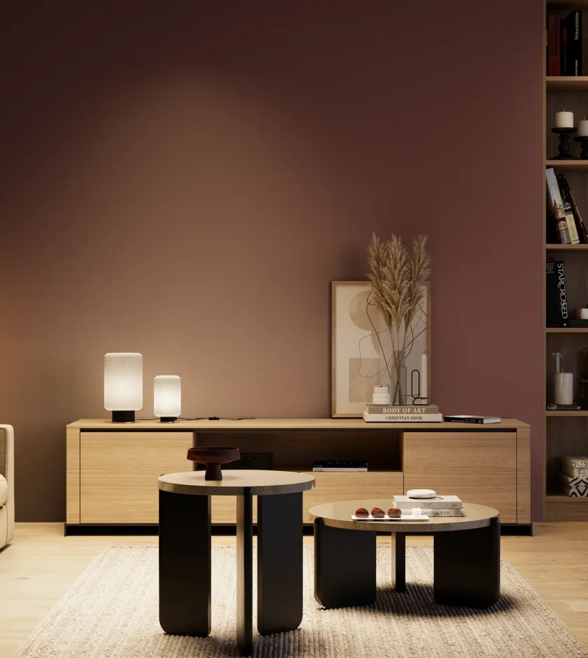 P10_SNIEZKA_salon_04_cieple_GREY_RAL3005