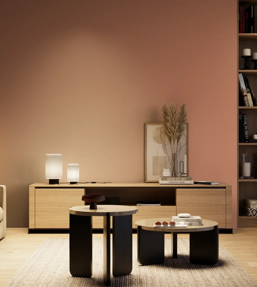 P10_SNIEZKA_salon_04_cieple_GREY_RAL3012