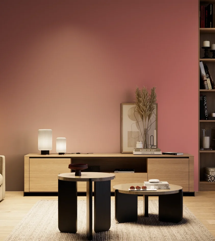 P10_SNIEZKA_salon_04_cieple_GREY_RAL3014