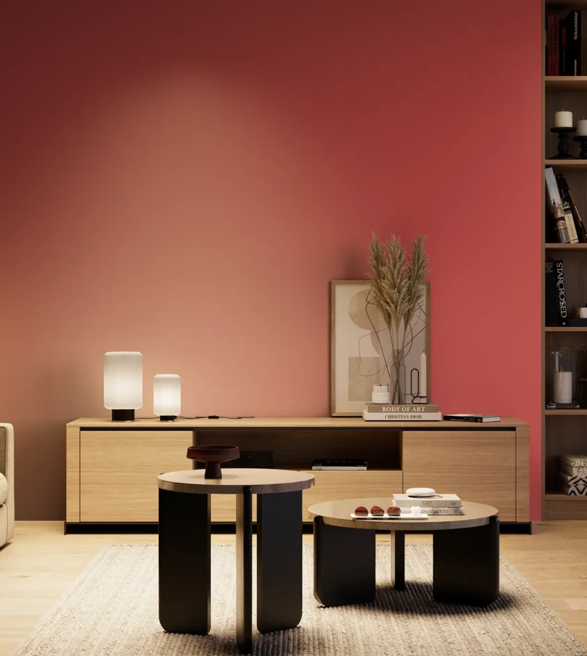 P10_SNIEZKA_salon_04_cieple_GREY_RAL3018