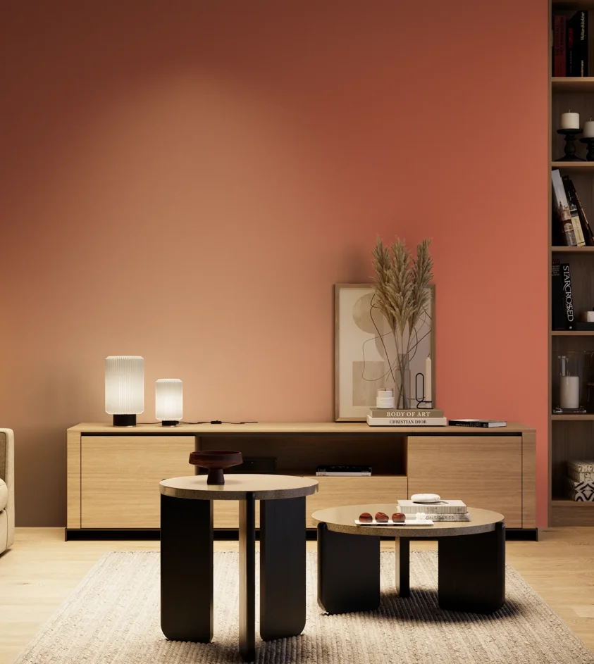 P10_SNIEZKA_salon_04_cieple_GREY_RAL3022