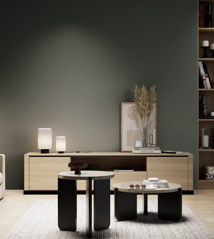 P10_SNIEZKA_salon_05_zimne_GREY_RAL6009