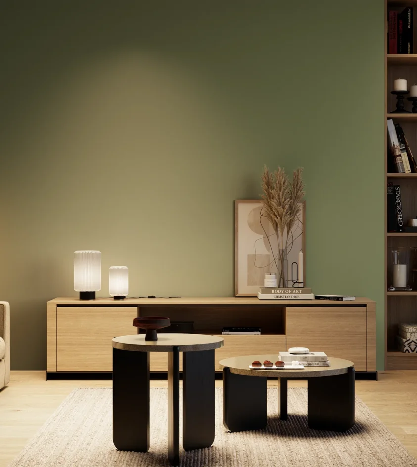 P10_SNIEZKA_salon_04_cieple_GREY_RAL6011