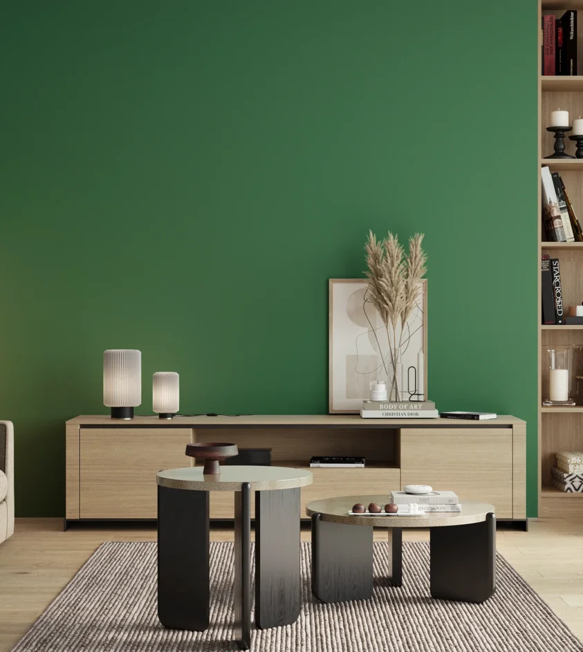 P10_SNIEZKA_salon_00_neutral_GREY_RAL6024