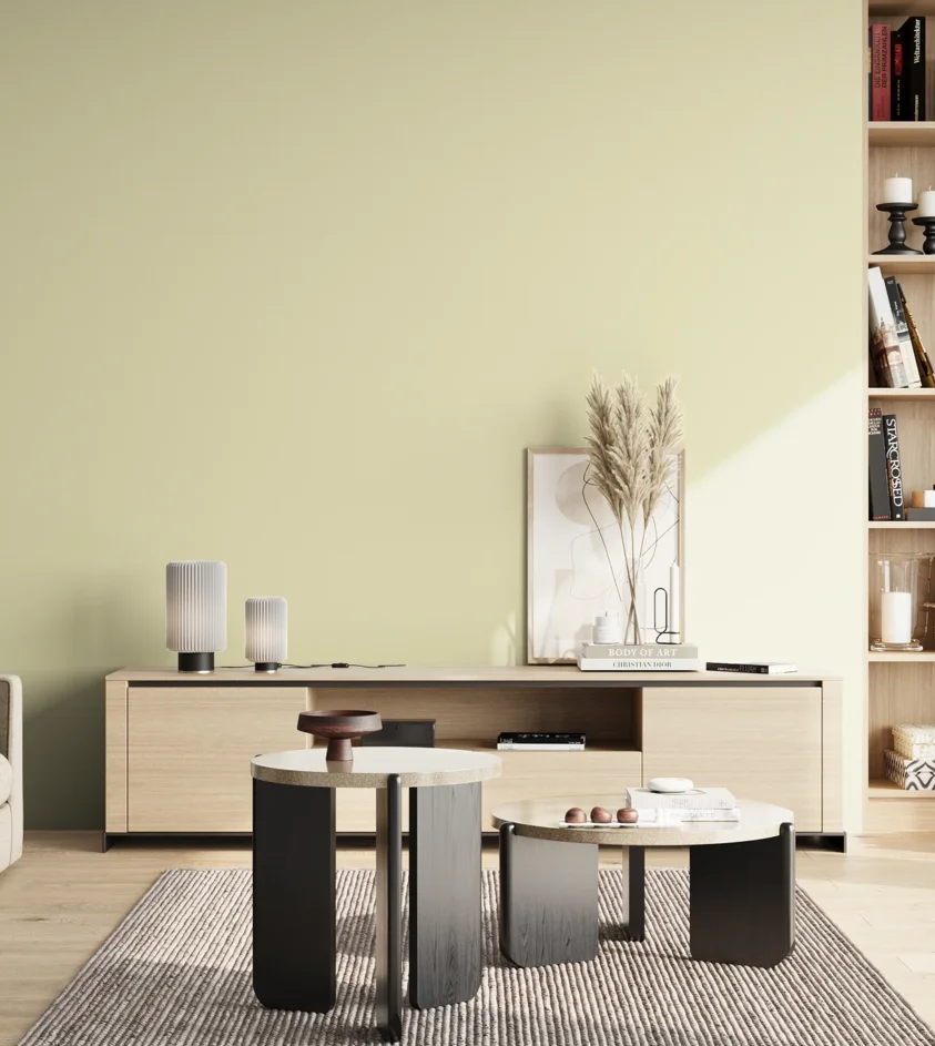 P10_SNIEZKA_salon_02_poludnie_GREY_S0510-G80Y