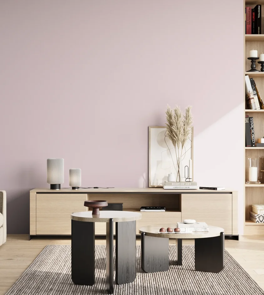 P10_SNIEZKA_salon_02_poludnie_GREY_S0510-R30B