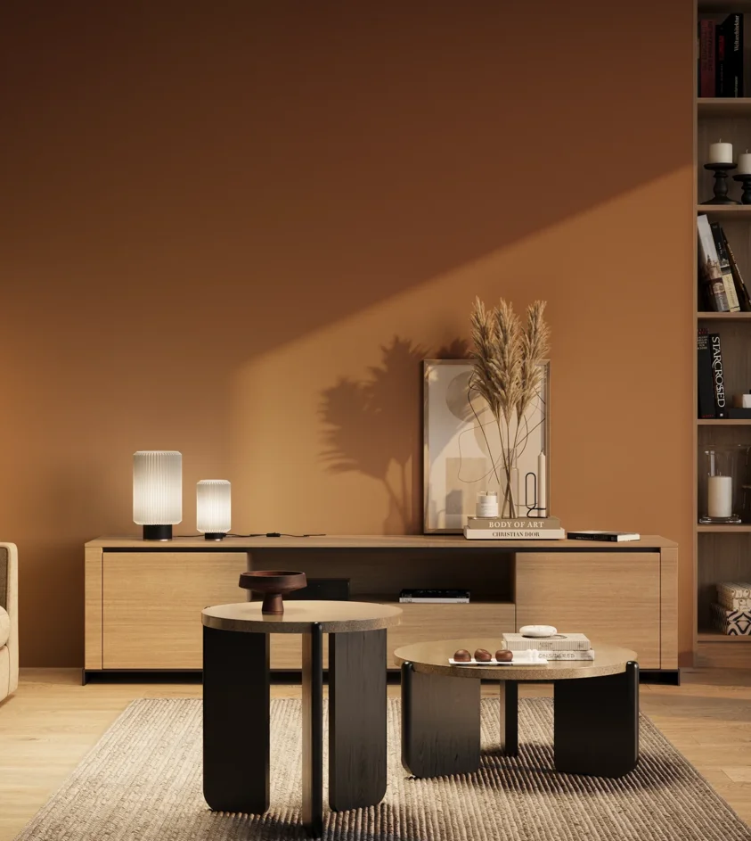 P10_SNIEZKA_salon_03_wieczor_GREY_RAL8023