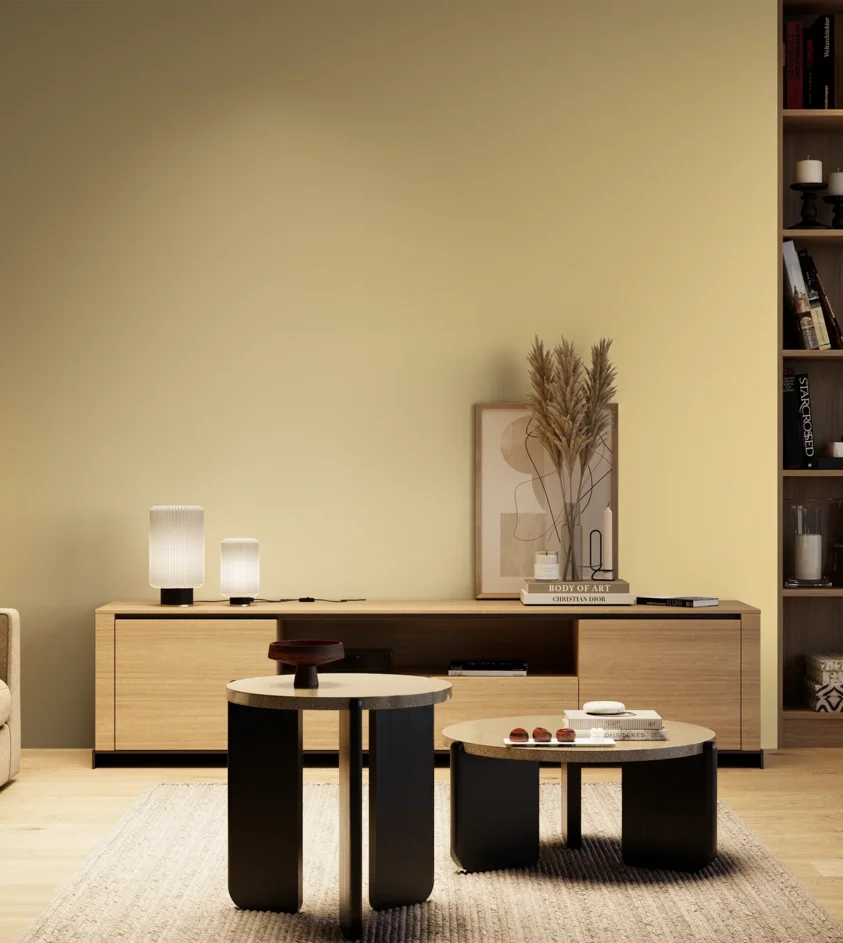 P10_SNIEZKA_salon_04_cieple_GREY_S0520-Y10R