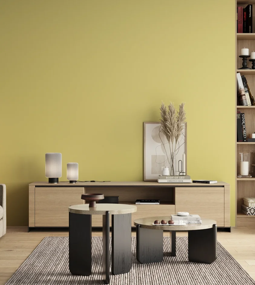 P10_SNIEZKA_salon_00_neutral_GREY_S0530-G90Y