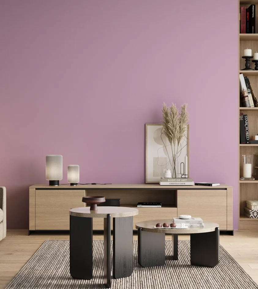 P10_SNIEZKA_salon_00_neutral_GREY_S0530-R40B