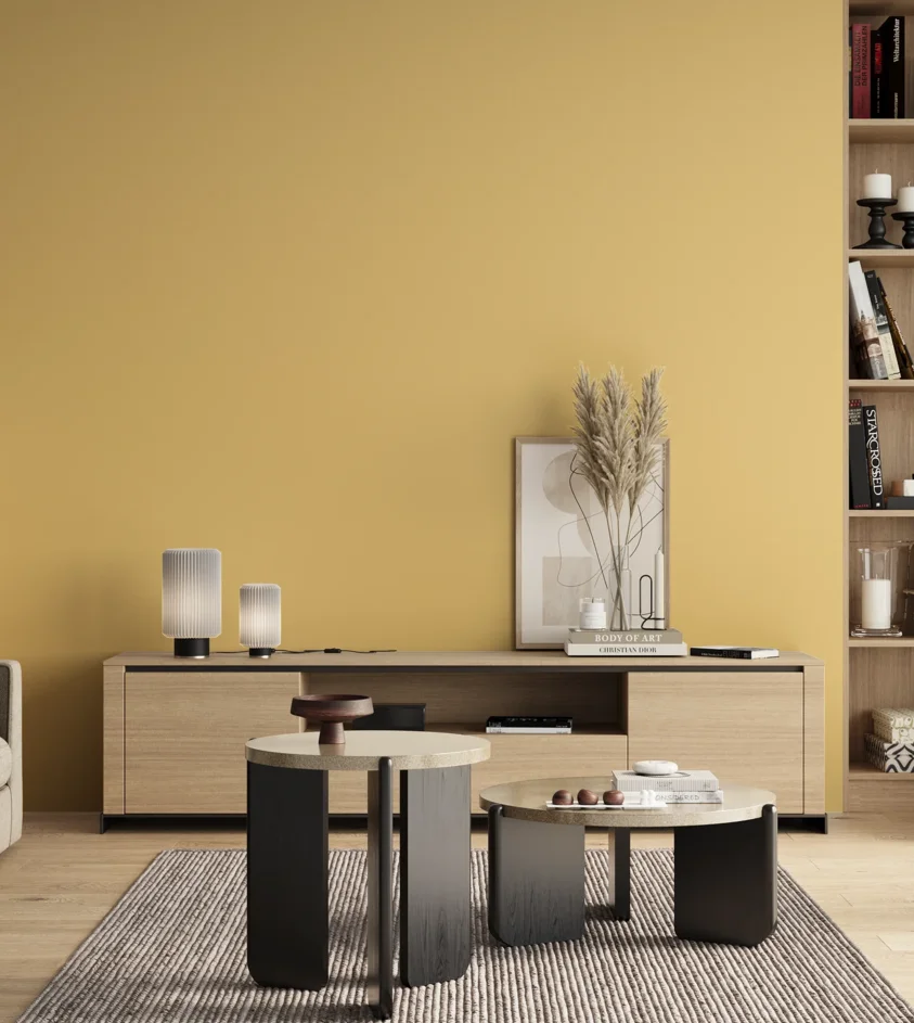 P10_SNIEZKA_salon_00_neutral_GREY_S0530-Y10R