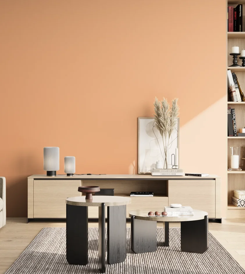 P10_SNIEZKA_salon_02_poludnie_GREY_S0530-Y50R