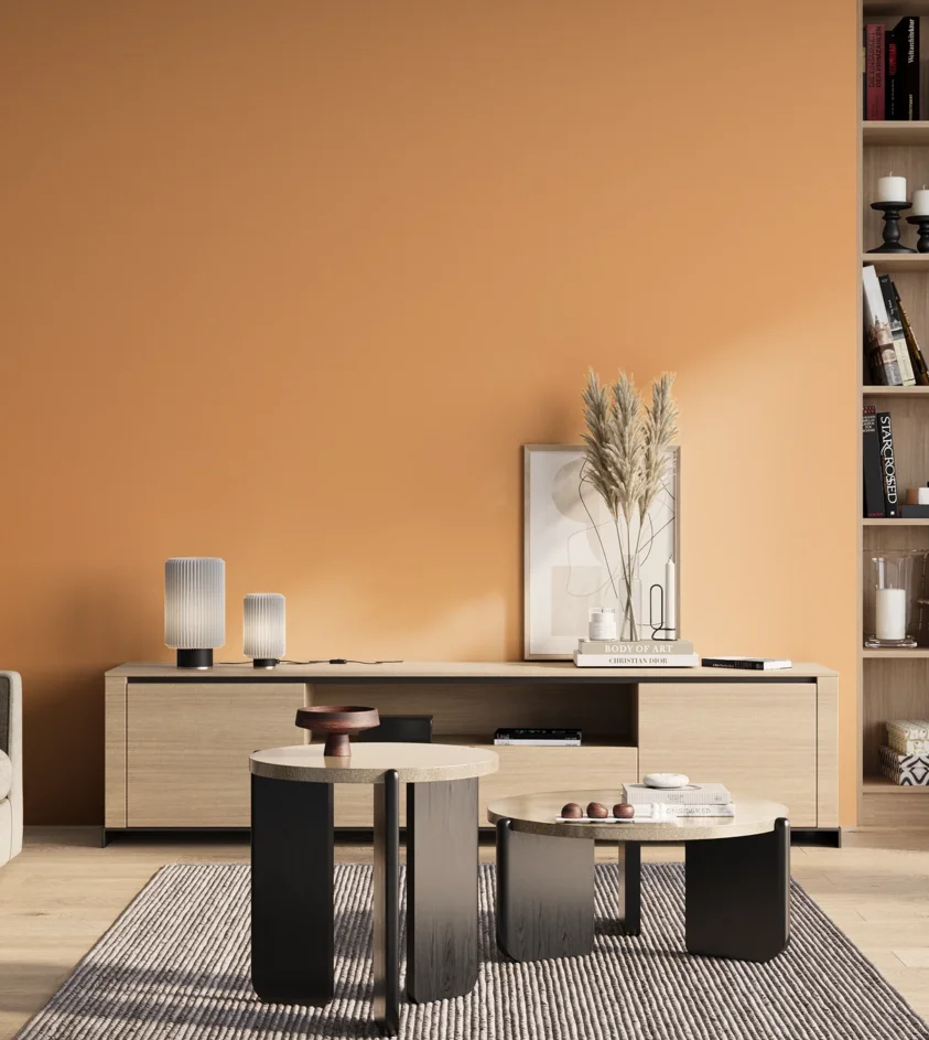 P10_SNIEZKA_salon_01_poranek_GREY_S0540-Y40R