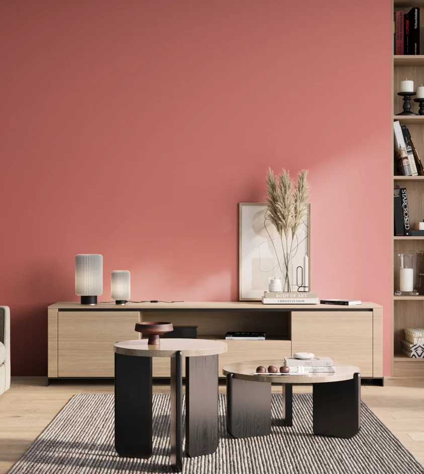 P10_SNIEZKA_salon_01_poranek_GREY_S0550-R