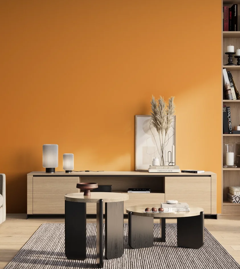 P10_SNIEZKA_salon_01_poranek_GREY_S0570-Y30R