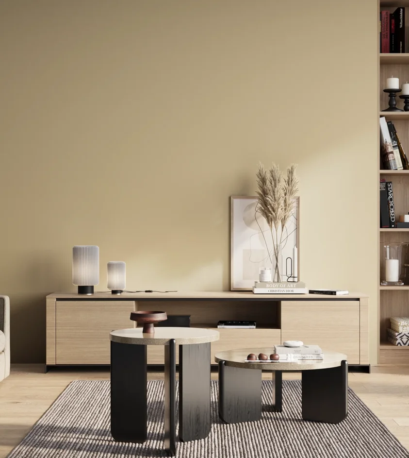 P10_SNIEZKA_salon_01_poranek_GREY_S1010-Y20R