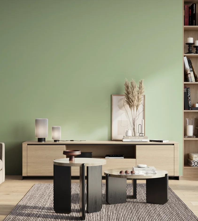 P10_SNIEZKA_salon_01_poranek_GREY_S1020-G20Y