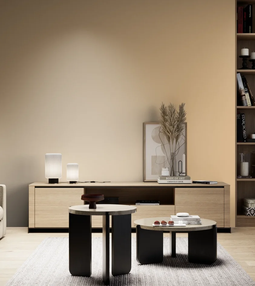 P10_SNIEZKA_salon_05_zimne_GREY_S1020-Y30R