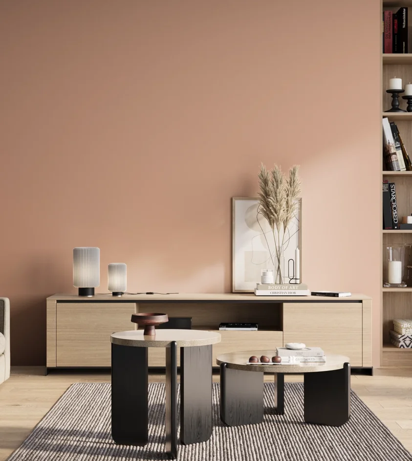 P10_SNIEZKA_salon_01_poranek_GREY_S1020-Y70R