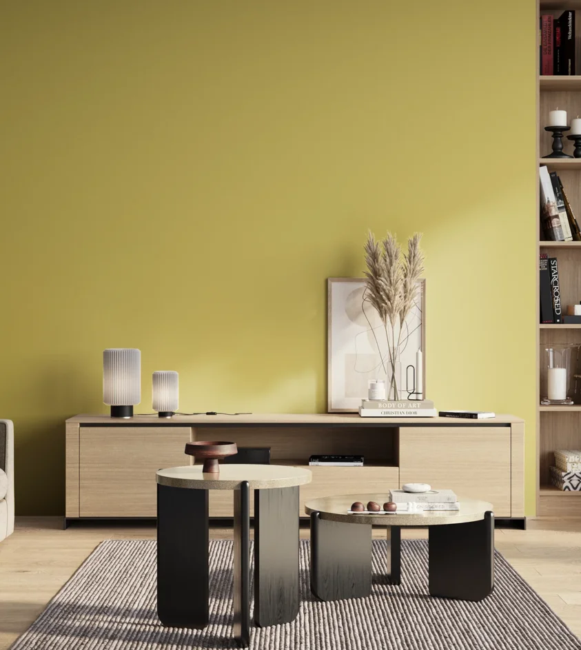 P10_SNIEZKA_salon_01_poranek_GREY_S1040-G90Y