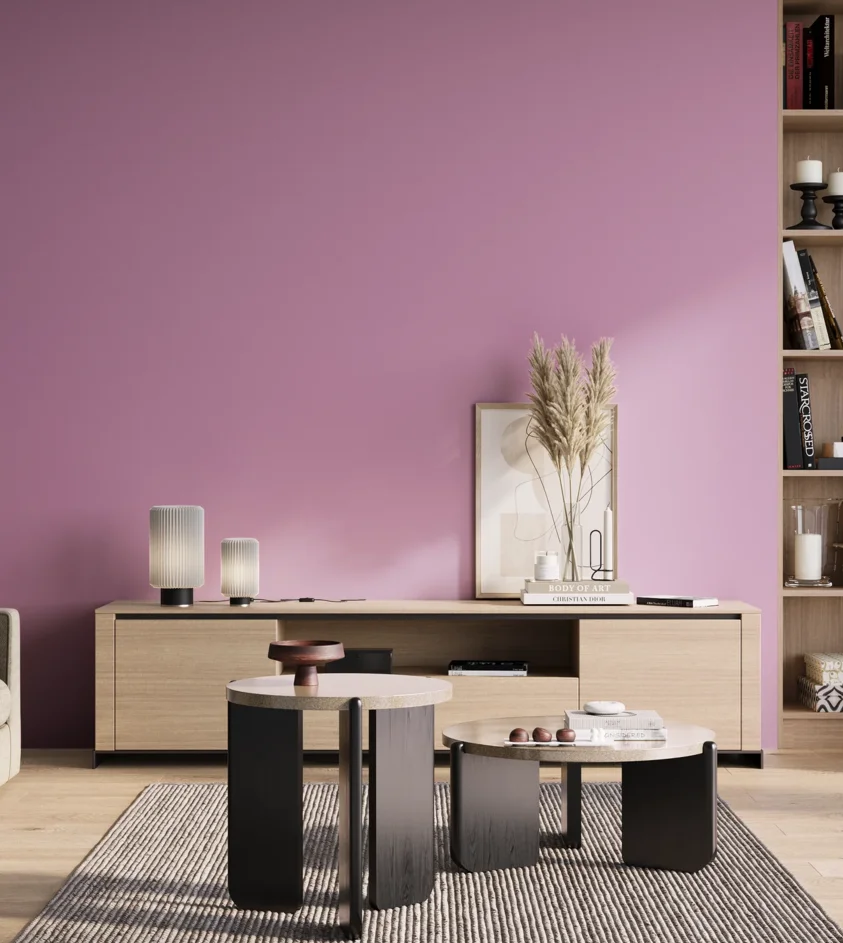 P10_SNIEZKA_salon_01_poranek_GREY_S1040-R40B