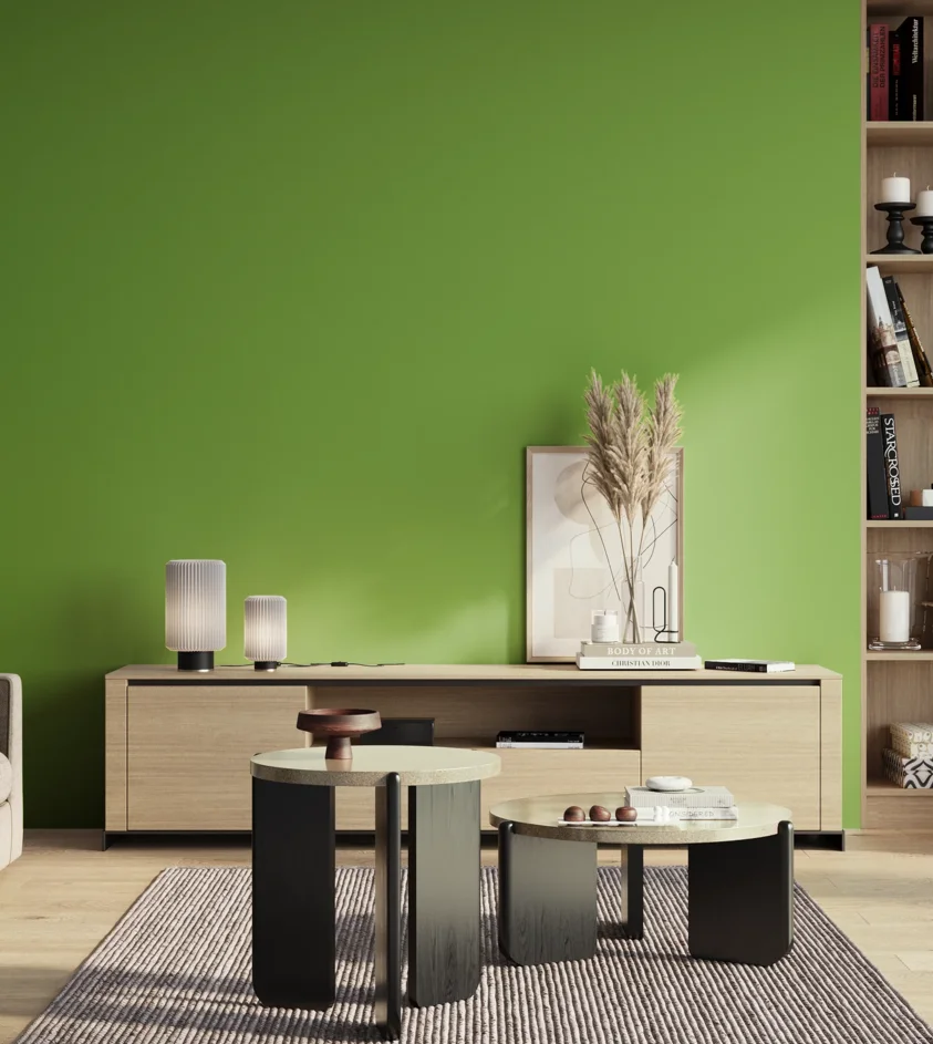 P10_SNIEZKA_salon_01_poranek_GREY_S1070-G30Y