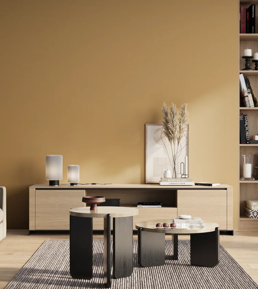 P10_SNIEZKA_salon_01_poranek_GREY_S2030-Y20R