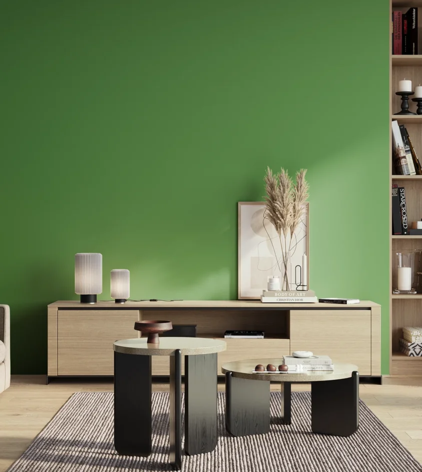 P10_SNIEZKA_salon_01_poranek_GREY_S2060-G20Y