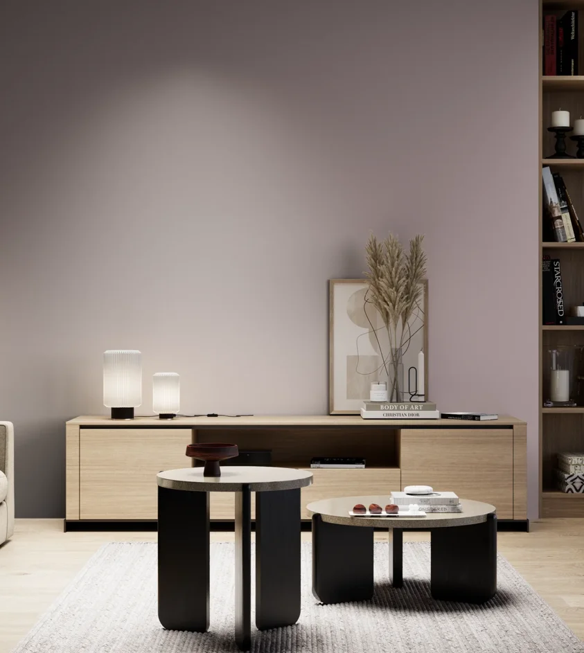 P10_SNIEZKA_salon_05_zimne_GREY_S3010-R20B
