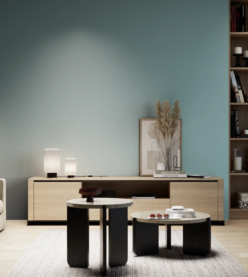 P10_SNIEZKA_salon_05_zimne_GREY_S3020-B30G