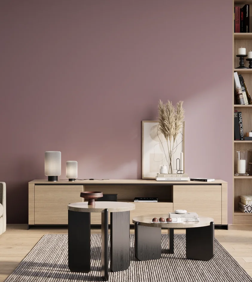 P10_SNIEZKA_salon_01_poranek_GREY_S3020-R30B