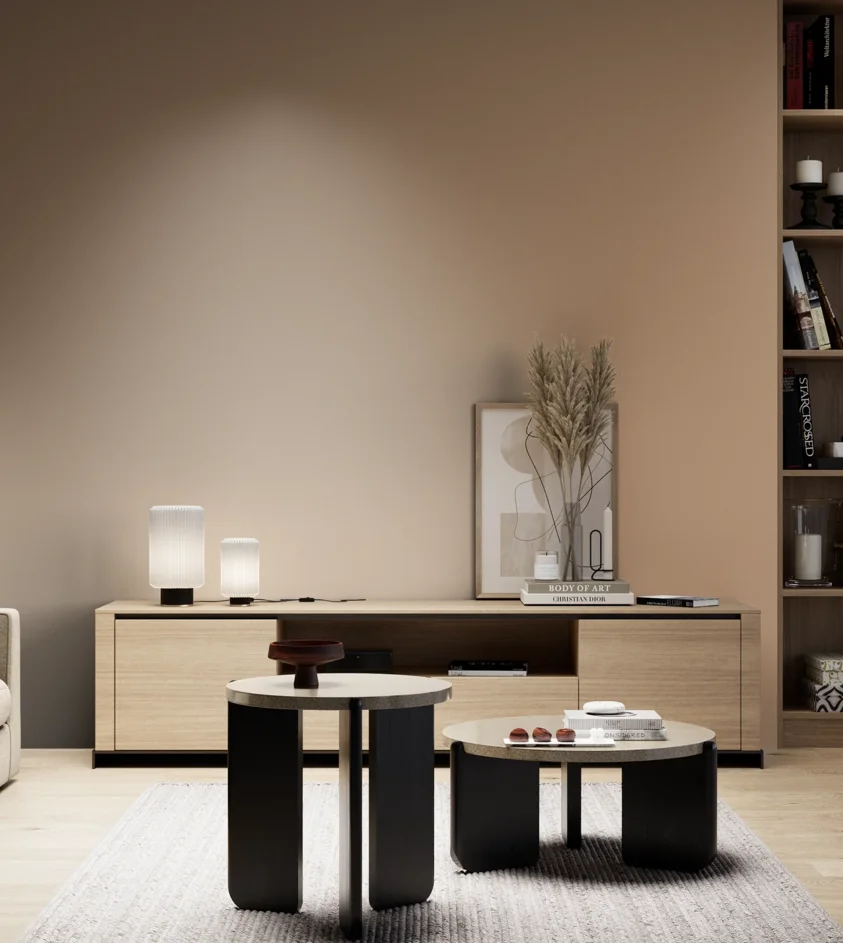 P10_SNIEZKA_salon_05_zimne_GREY_S3020-Y40R