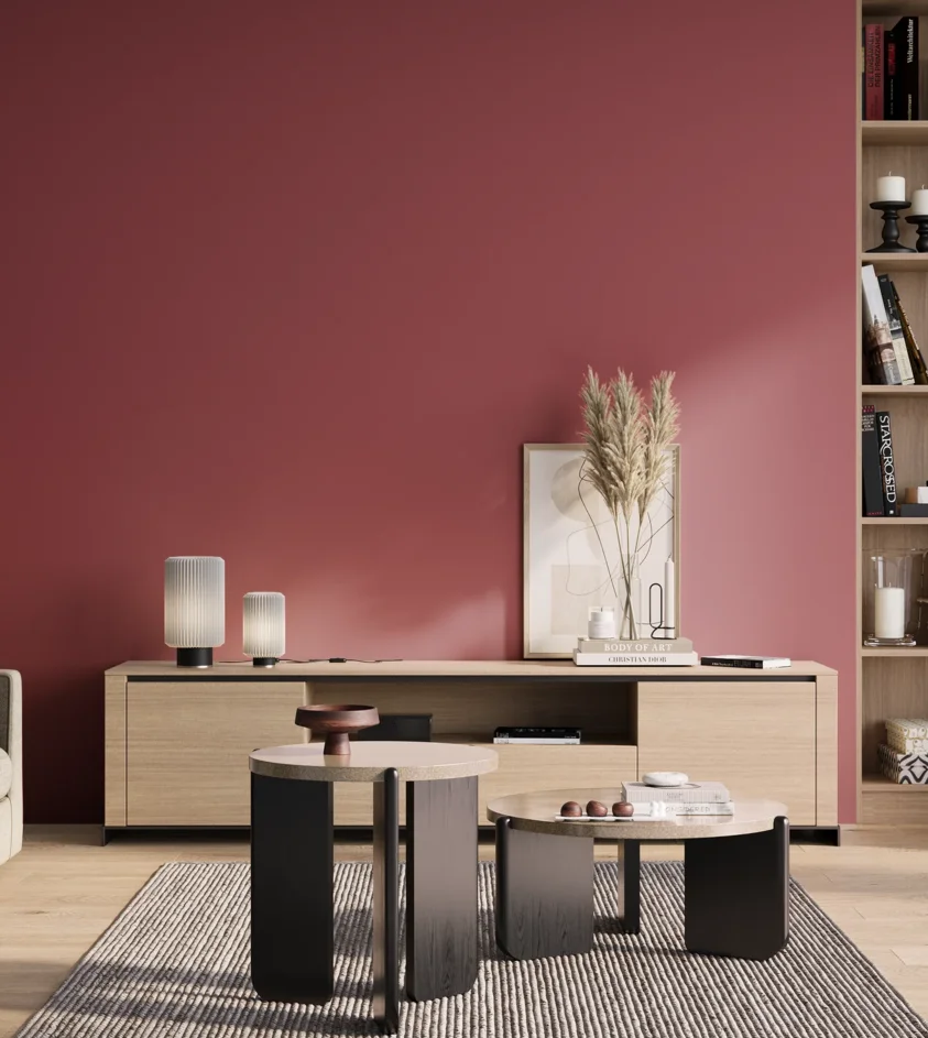 P10_SNIEZKA_salon_01_poranek_GREY_S3050-R10B