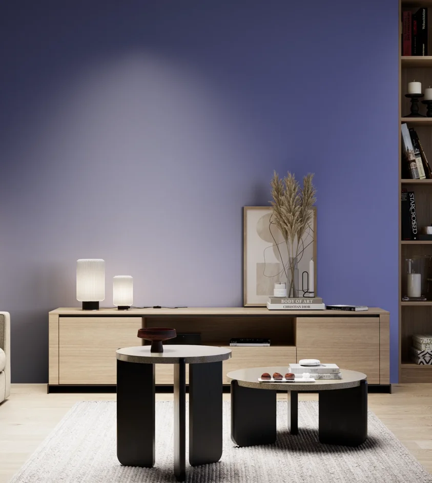 P10_SNIEZKA_salon_05_zimne_GREY_S3050-R70B