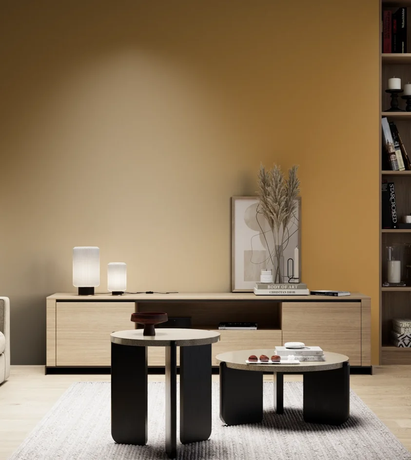 P10_SNIEZKA_salon_05_zimne_GREY_S3050-Y20R