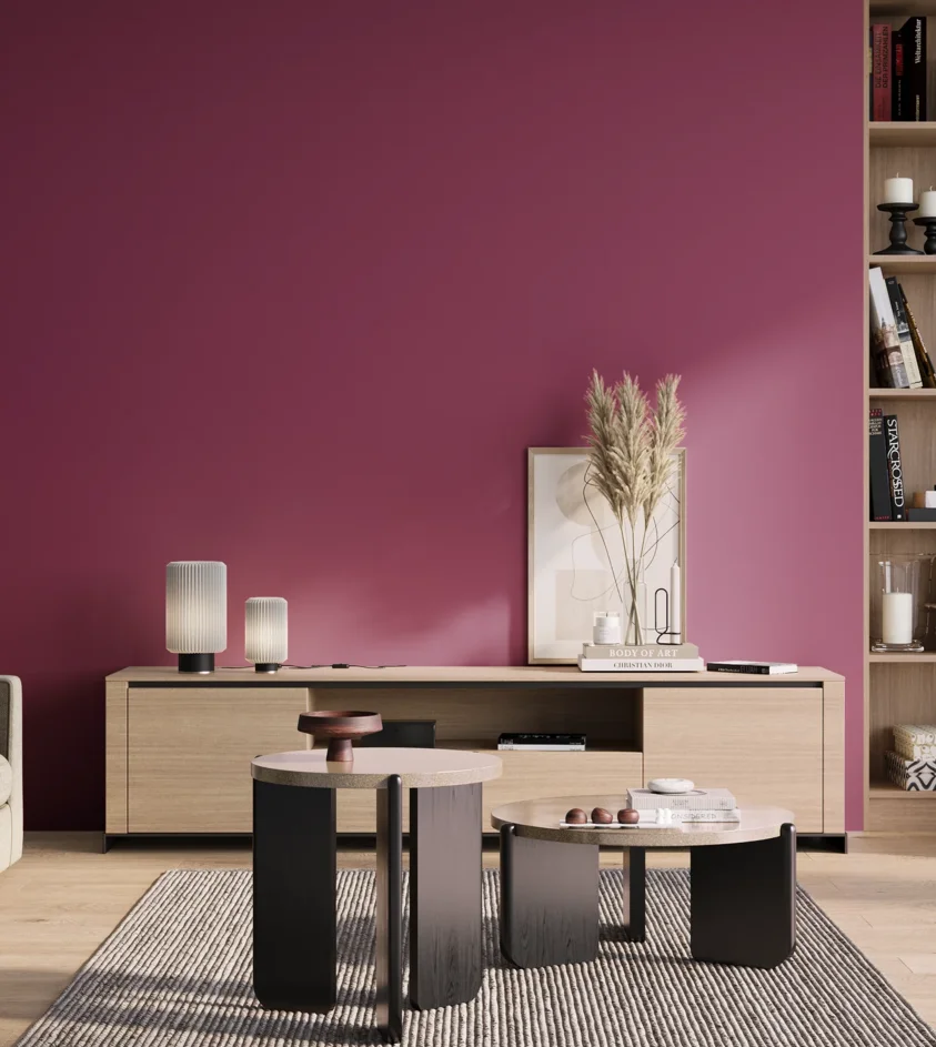 P10_SNIEZKA_salon_01_poranek_GREY_S3055-R30B