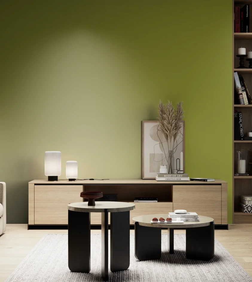 P10_SNIEZKA_salon_05_zimne_GREY_S3060-G60Y