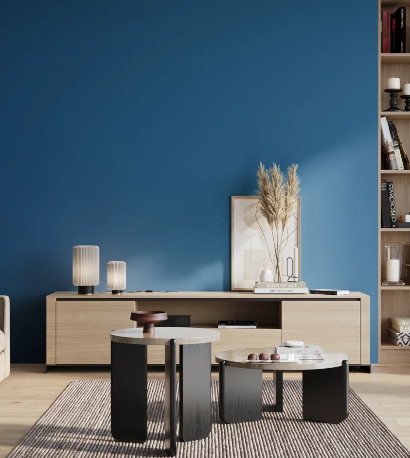 P10_SNIEZKA_salon_01_poranek_GREY_S3060-R90B