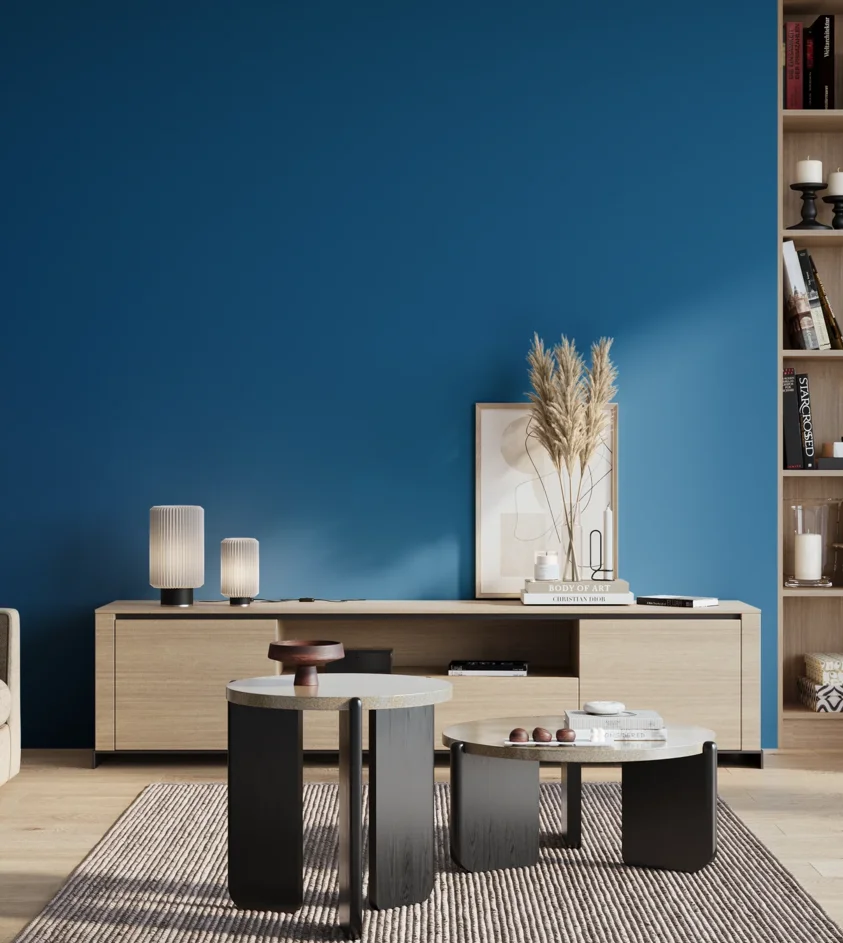 P10_SNIEZKA_salon_01_poranek_GREY_S3065-R90B