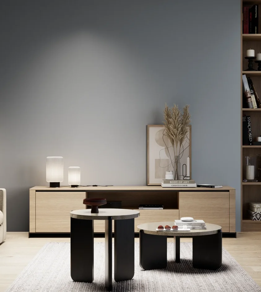 P10_SNIEZKA_salon_05_zimne_GREY_S4010-R90B