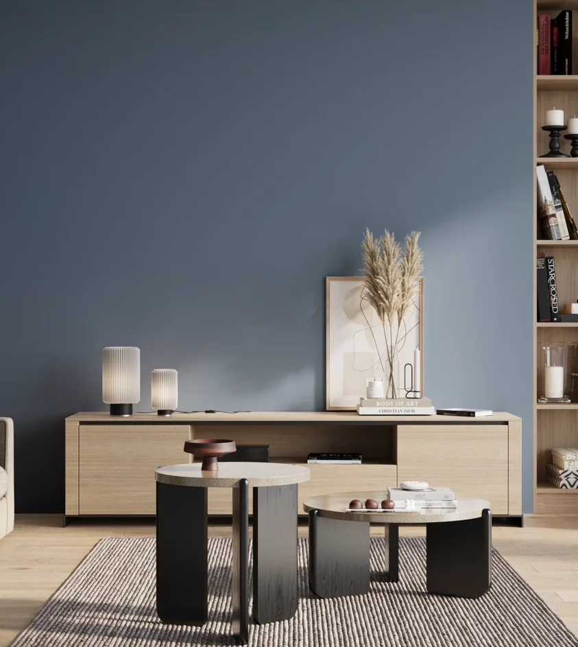 P10_SNIEZKA_salon_01_poranek_GREY_S4030-R90B
