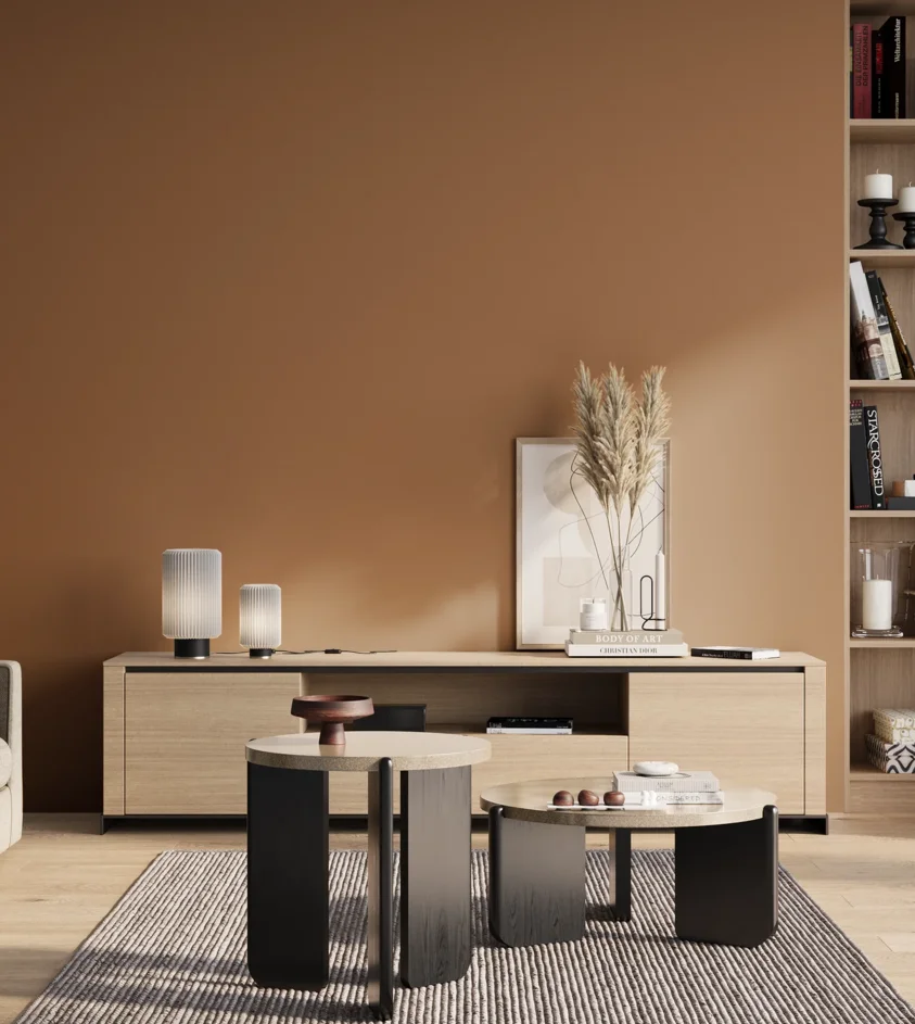 P10_SNIEZKA_salon_01_poranek_GREY_S4030-Y40R