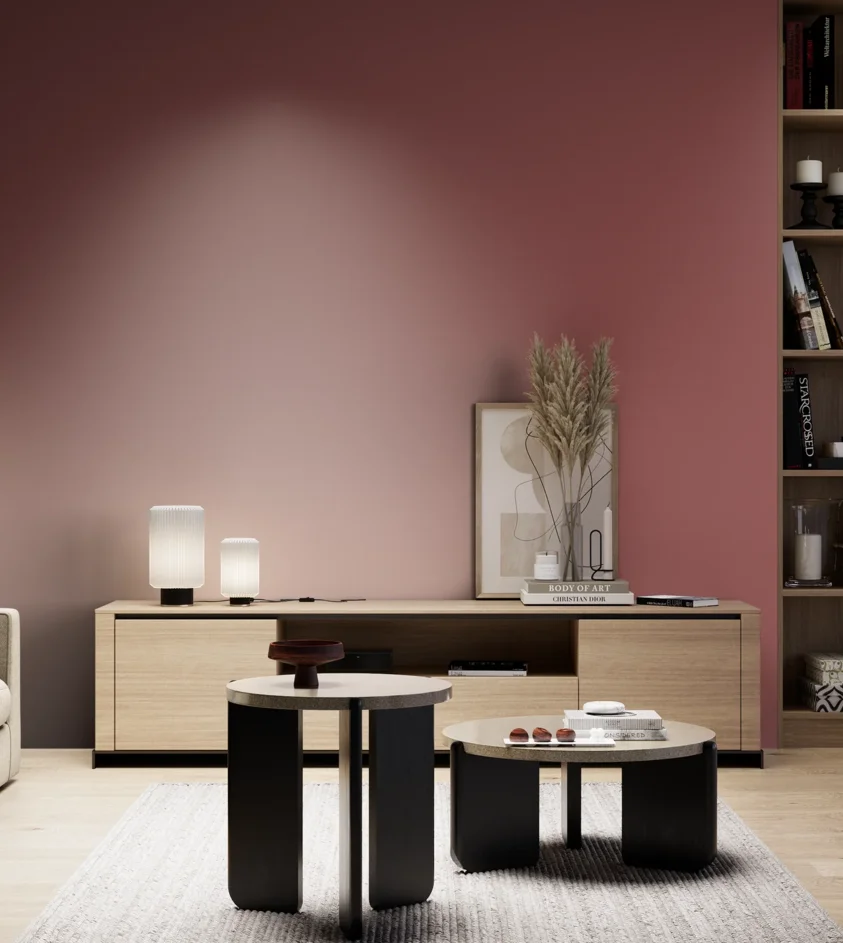 P10_SNIEZKA_salon_05_zimne_GREY_S4040-R