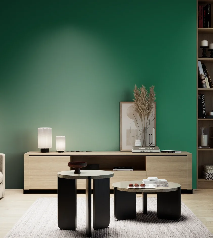 P10_SNIEZKA_salon_05_zimne_GREY_S4050-G