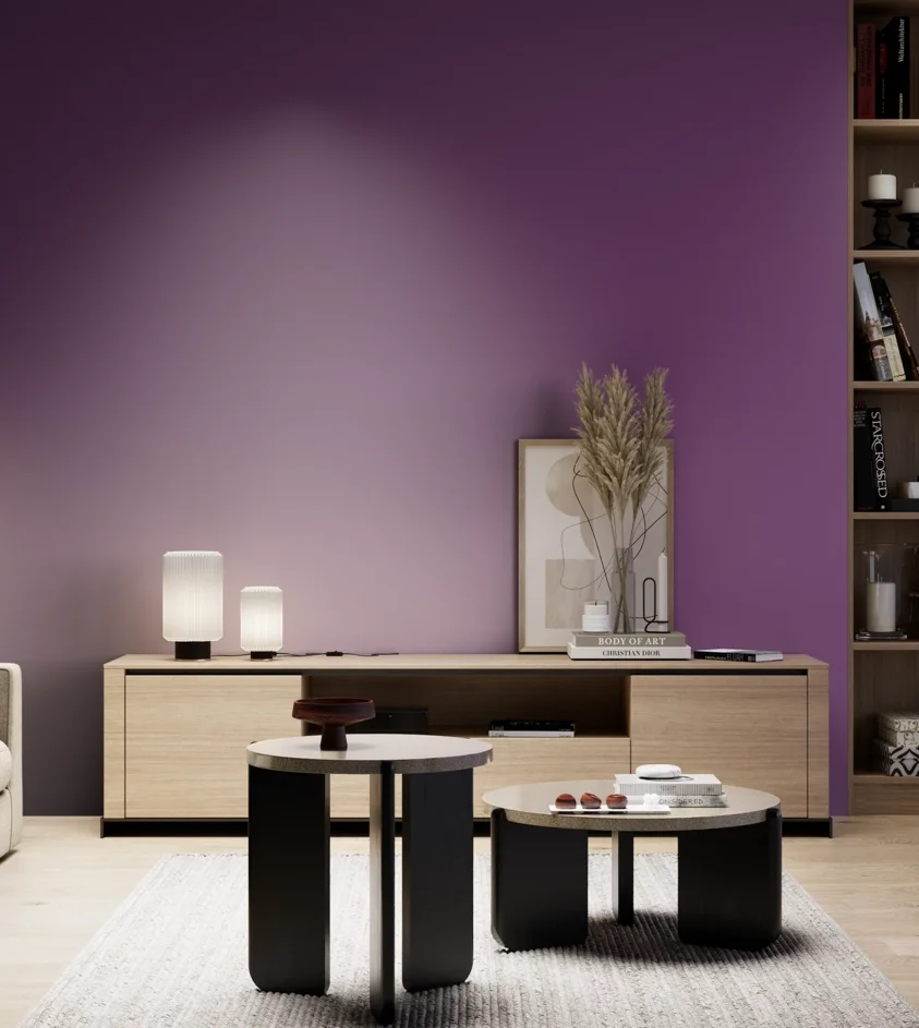 P10_SNIEZKA_salon_05_zimne_GREY_S4050-R50B