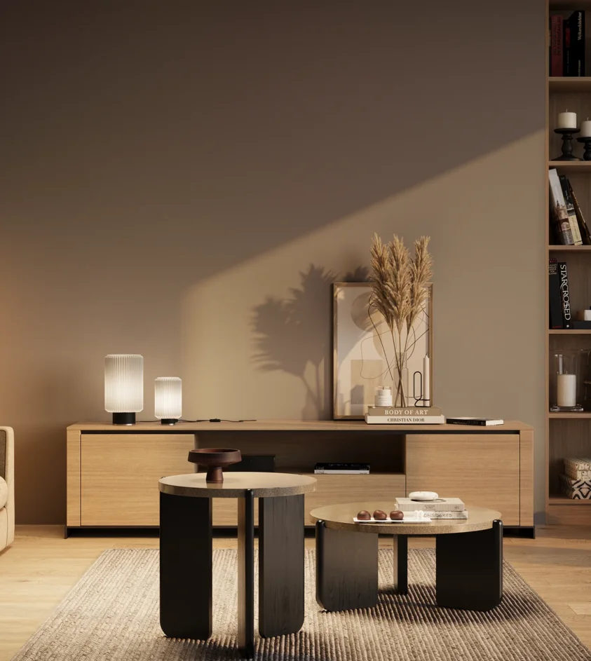 P10_SNIEZKA_salon_03_wieczor_GREY_S5005-R50B