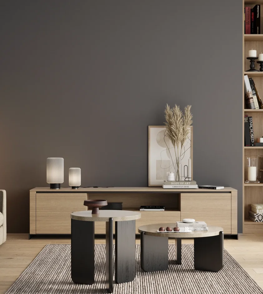P10_SNIEZKA_salon_00_neutral_GREY_S6005-R80B