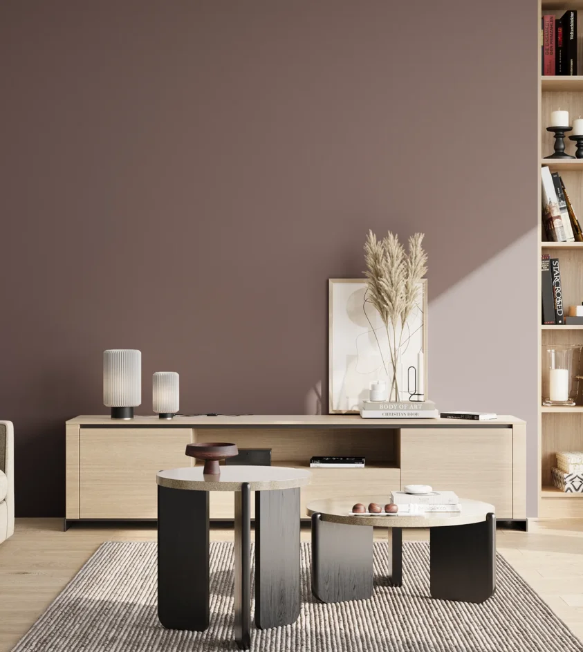 P10_SNIEZKA_salon_02_poludnie_GREY_S6010-R10B
