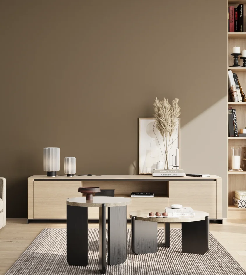 P10_SNIEZKA_salon_02_poludnie_GREY_S6010-Y10R