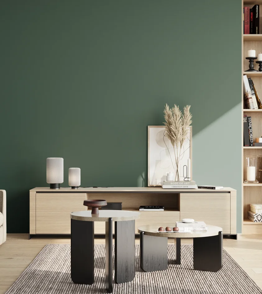 P10_SNIEZKA_salon_02_poludnie_GREY_S6020-B90G